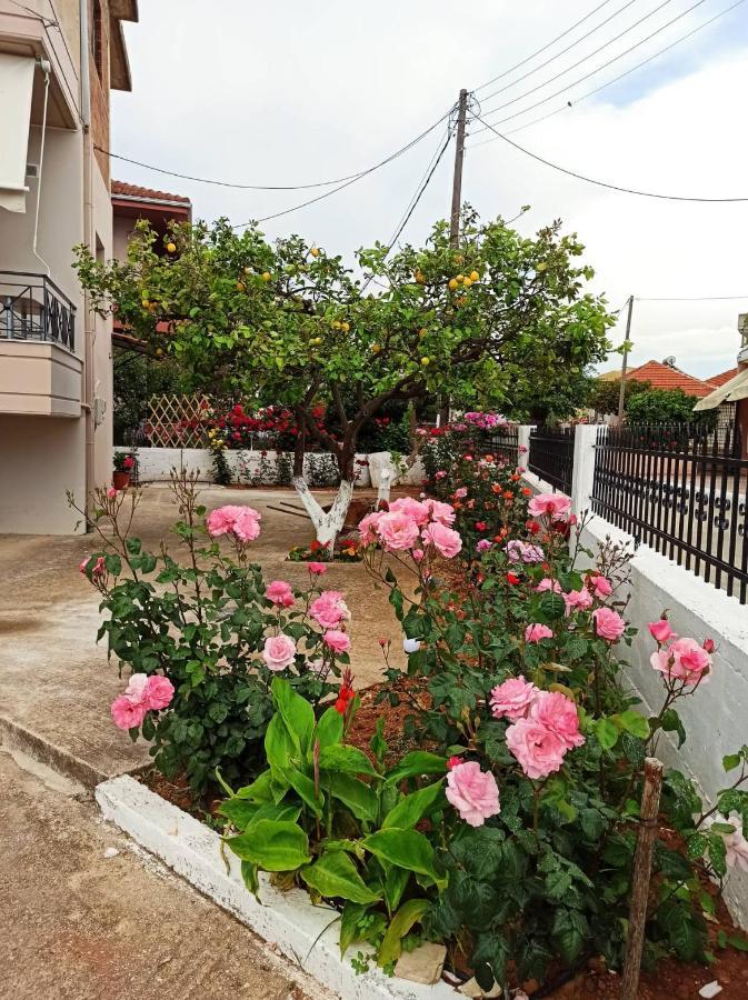 Agathi'S House Apartment Mytikas  Exterior photo